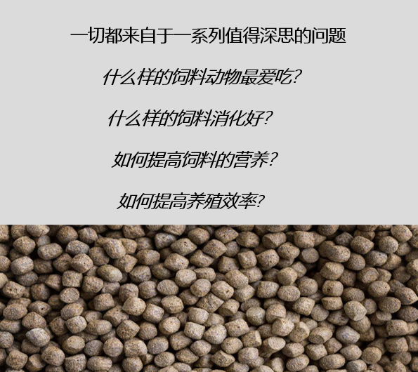 關(guān)于飼料生產(chǎn)的熟化工藝，以及保持器/保質(zhì)器的應(yīng)用解析